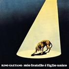 Rino Gaetano  ?  Mio Fratello E’ Figlio Unico