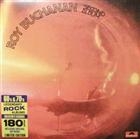 Roy Buchanan ?  Second Album