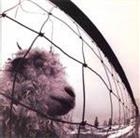 Pearl Jam – Vs.