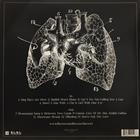 Florence + The Machine ‎– Lungs