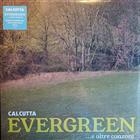 Calcutta ‎– Evergreen...e altre canzoni