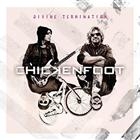 Chickenfoot  ?  Divine Termination