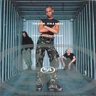 Skunk Anansie ?  Paranoid & Sunburnt