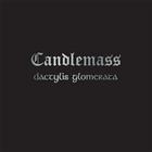 Candlemass ?  Dactylis Glomerata