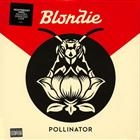 Blondie  ?  Pollinator
