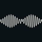 ARCTIC MONKEYS  - AM-