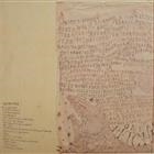 Devendra Banhart – Rejoicing In The Hands / Niño Rojo