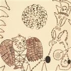 Devendra Banhart – Rejoicing In The Hands / Niño Rojo