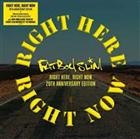 FATBOY SLIM - Right Here, Right Now Remixes