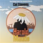 STEVENS CAT - HAROLD & MAUDE COLORED red VINYL