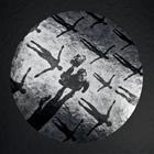 Muse - Absolution (XX Anniversary)