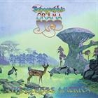 Yes   -   Topographic Drama