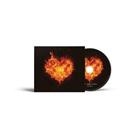 Diodato - Ho Acceso Un Fuoco Live Studio Session