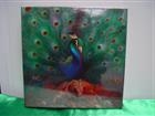 Opeth - Sorceress Limited Edition